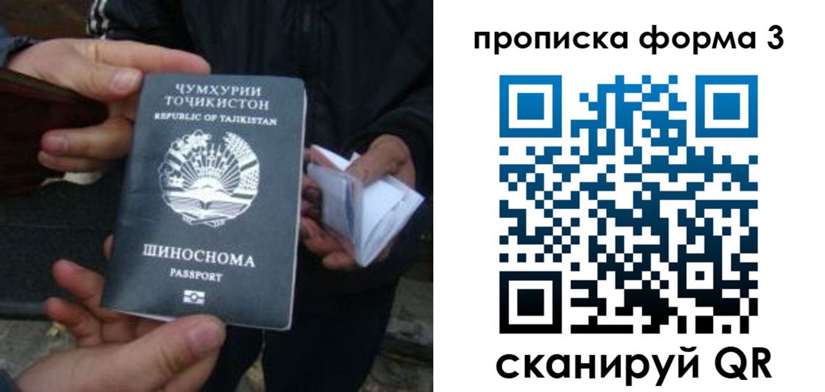 прописка 2025 в Богучаре